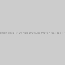 Image of Recombinant BTV 20 Non-structural Protein NS1 (aa 1-552)